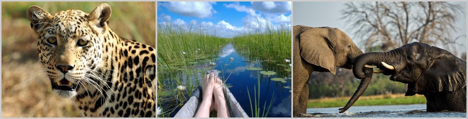 Chobe Okavango Delta and Victoria Falls Safari - Private Safari 11 Day 10 Night