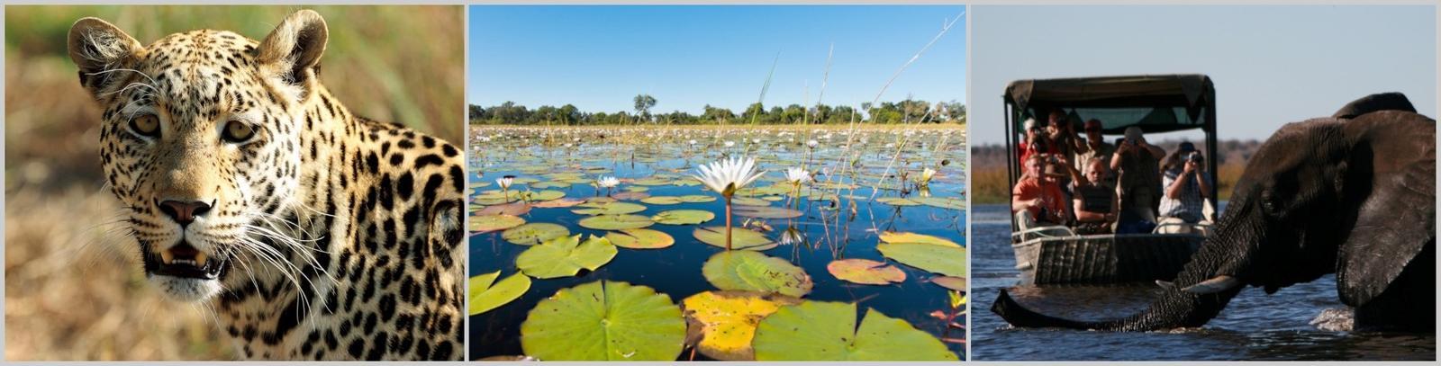 Fascinating Botswana Private Lodge Safari 9 Days 8 Nights