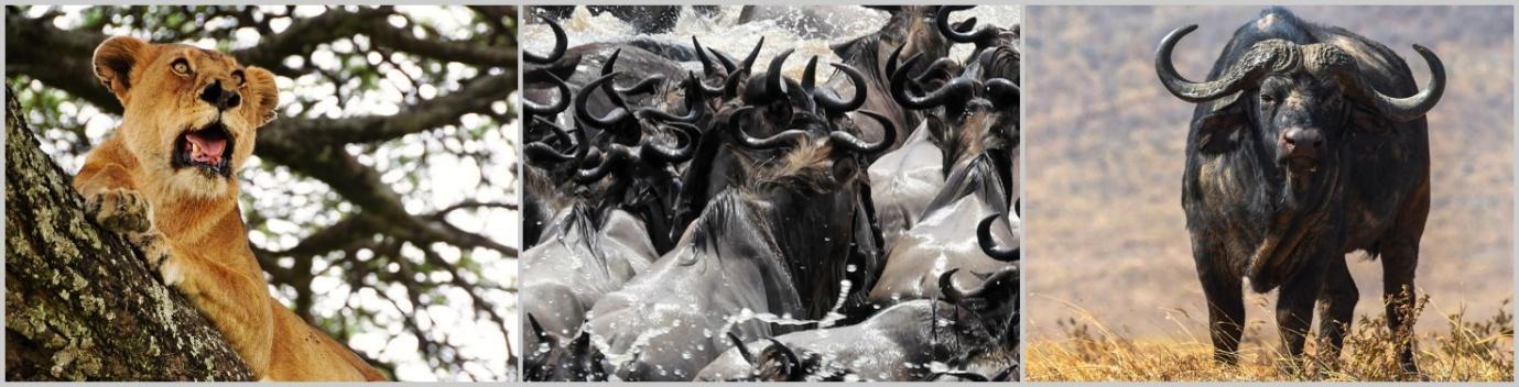 Kenya The Wild Side Camping Adventure 8 Days 7 Nights