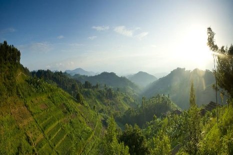 11 Day Rwanda Gorillas Game and Forest Wild Frontiers
