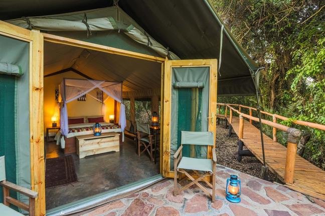 11 Day Rwanda Gorillas Game and Forest Wild Frontiers