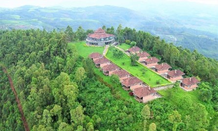 11 Day Rwanda Gorillas Game and Forest Wild Frontiers
