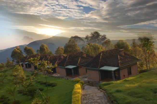 11 Day Rwanda Gorillas Game and Forest Wild Frontiers