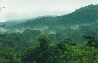 12 Day Ultimate Uganda Private Safari