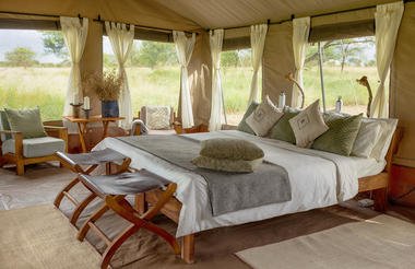 Central Serengeti Fly-in Safari