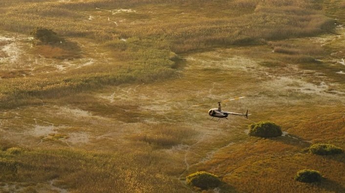 Chobe and Okavango Delta Photo Safari 8 Days 7 Nights