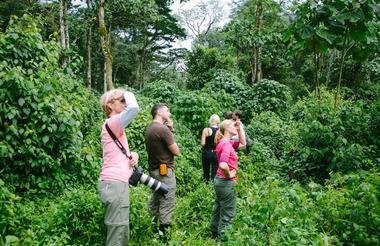 Game and Gorillas 8 Day Uganda and Rwanda Private Safari