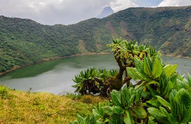 Game and Gorillas 8 Day Uganda and Rwanda Private Safari