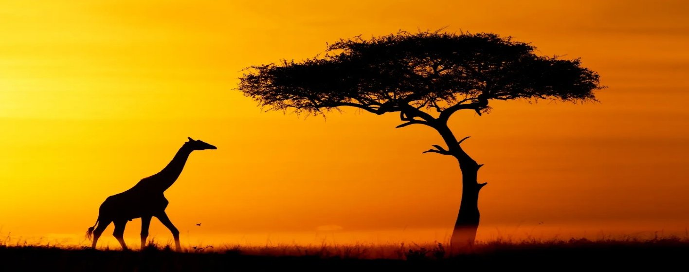 Masai Mara Photo Safari 8 Days 7 Nights Kenya