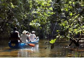 Masoala Adventure 7 Night Wild Expeditions Madagascar