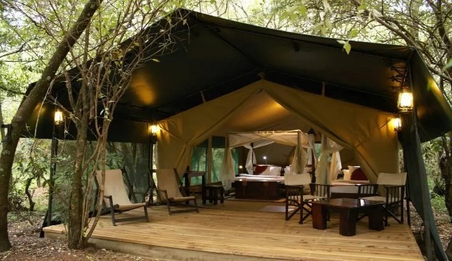 The Great Migration Photo Safari Kenya 8 Days 7 Nights