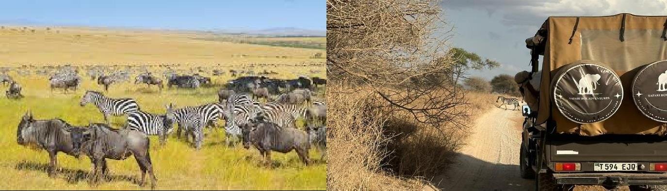 Ultimate Tanzania Safari and Zanzibar Beach Holiday 14 Days