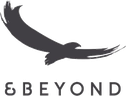 &Beyond